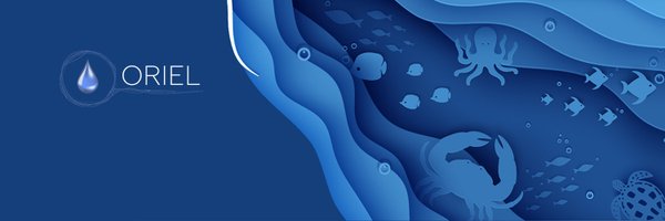 orielseasalt Profile Banner