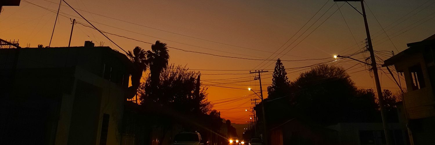 alehlimartinez's profile banner image