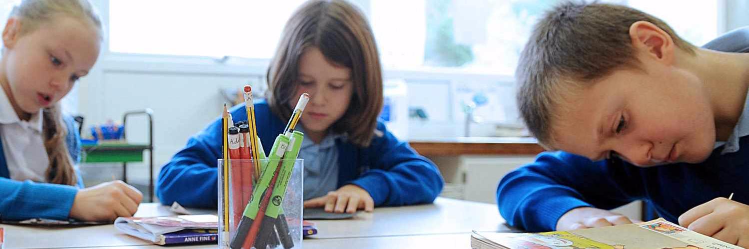 Schools' Choice Govs banner