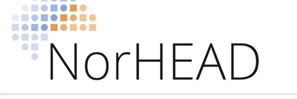 ErlingTronvik Profile Banner