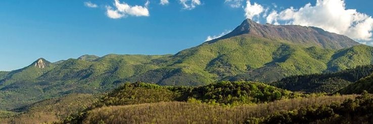 Vicenç Garcia banner