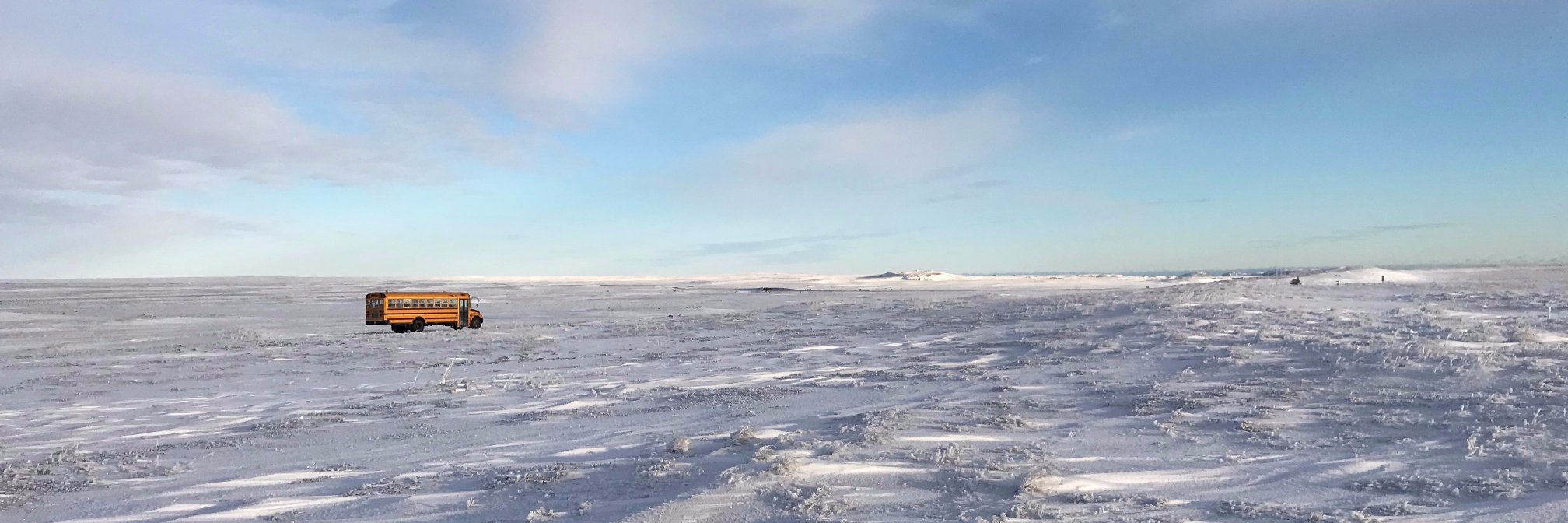 Caitlin Kealey banner