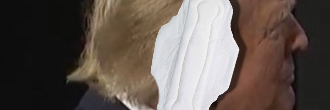 LenoreKoch's profile banner image