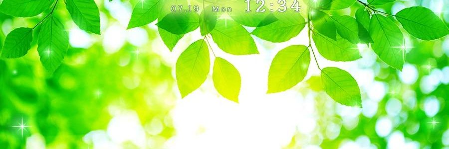 love banner