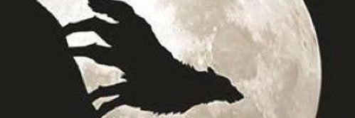 سالم بدر مفرح banner