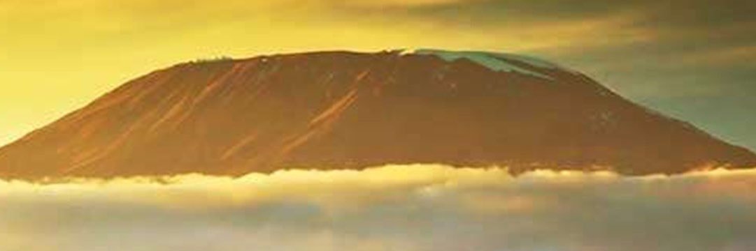 TopNotchNFTs's profile banner image