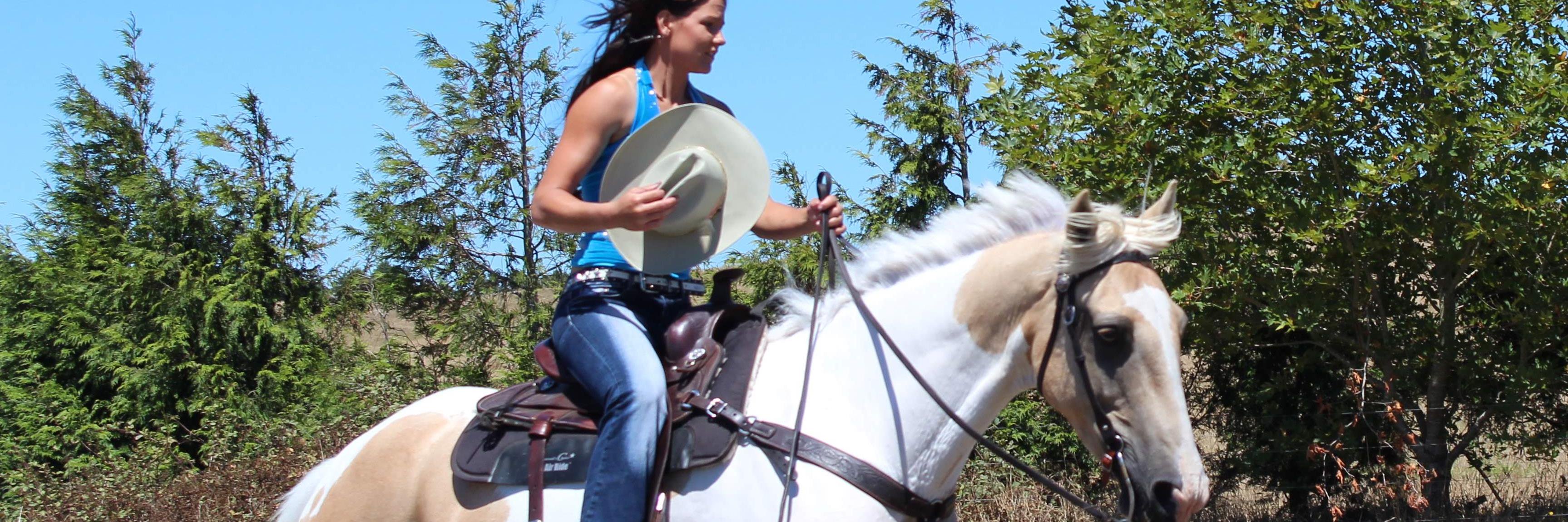FreeRidingNZ's profile banner image