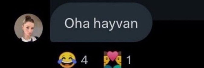askyokolum's profile banner image