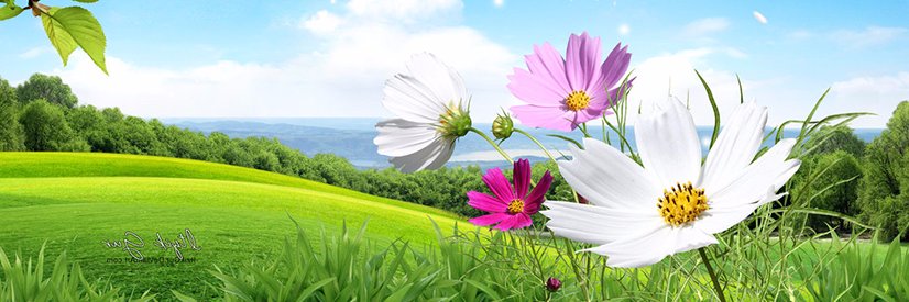 cienradios's profile banner image