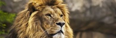 S3ODxALGHAMDI's profile banner image