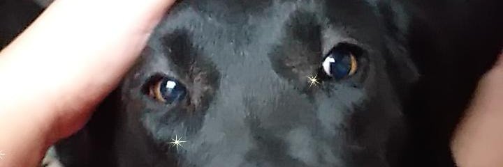 emipao09's profile banner image