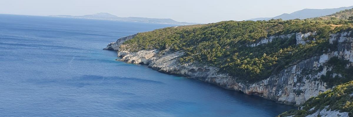 Ika_potworna's profile banner image