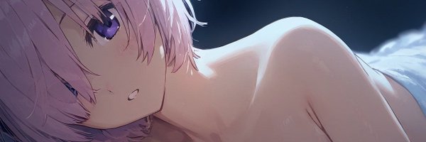 TheShieldCaldea Profile Banner