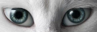 hunterlied's profile banner image