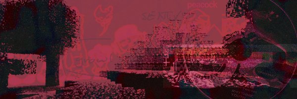 c4horse_ Profile Banner