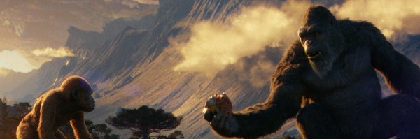 MonkeIsAlways Profile Banner