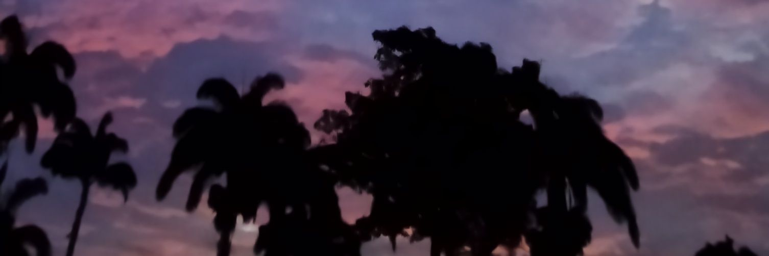 MiguelJVH's profile banner image