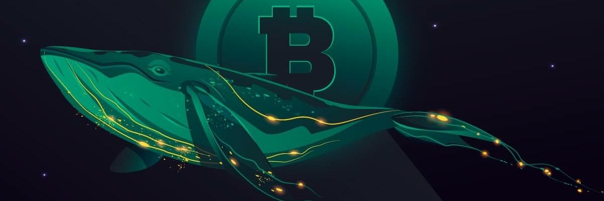 YSM Crypto Corporation banner