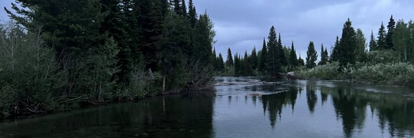 PeterTassler Profile Banner