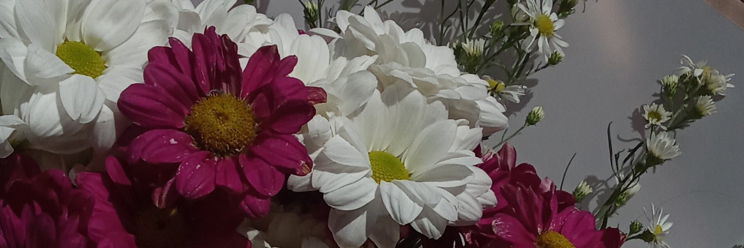 itsruiritsu's profile banner image