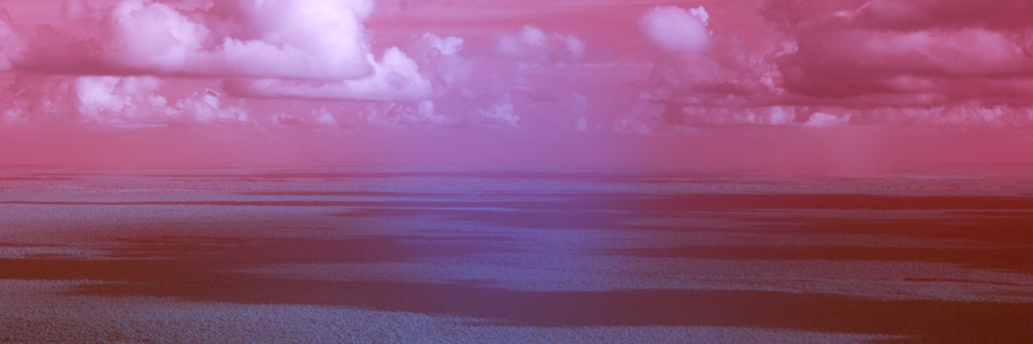 AlessandroFalco's profile banner image
