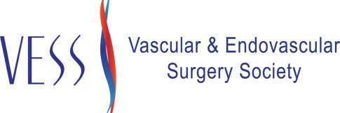 VESS VSIG's banner
