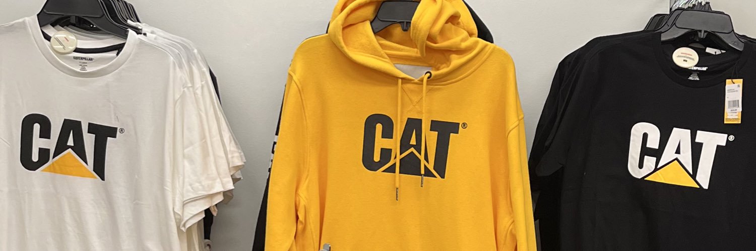 LarryCatVT 🐆💜 Cat boy vtuber banner