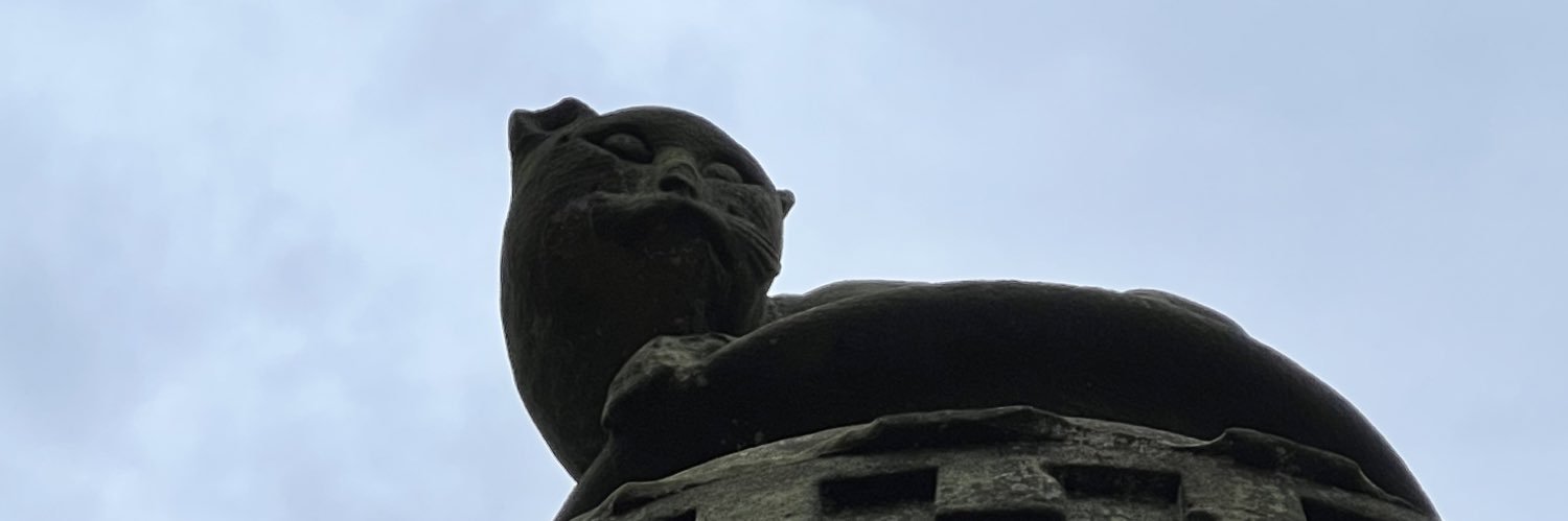 Andrew Kightley banner