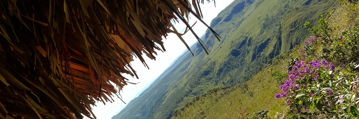 SarahAGSilva's profile banner image