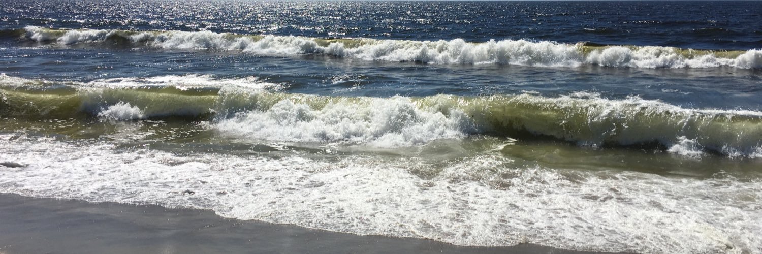 michelledebra's profile banner image