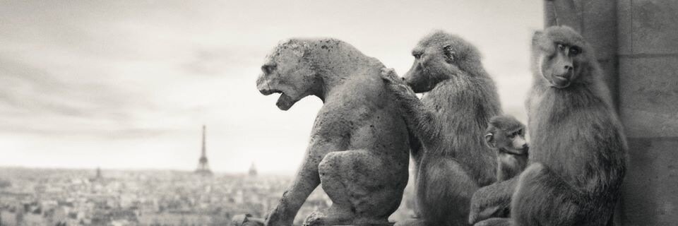aaronheijmans's profile banner image
