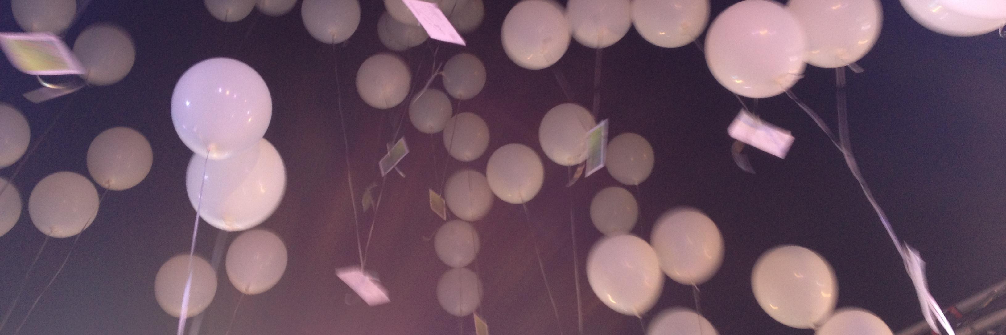 Véronique Prince's banner