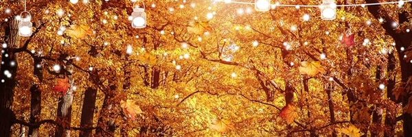 M64bros1 Profile Banner