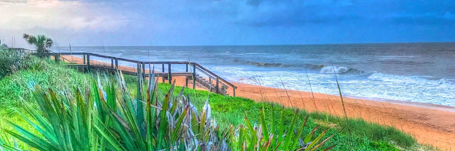 Debbi Granruth 🌊🌊🌊🌻- @rocksnosalt.bsky.social banner