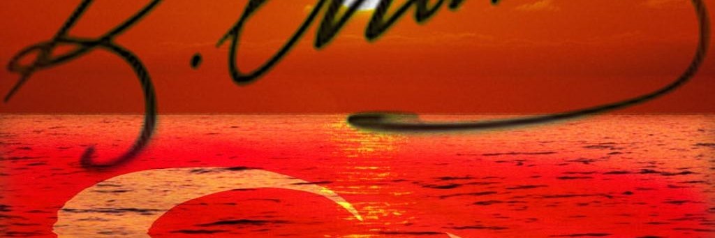 voynik35TC's profile banner image