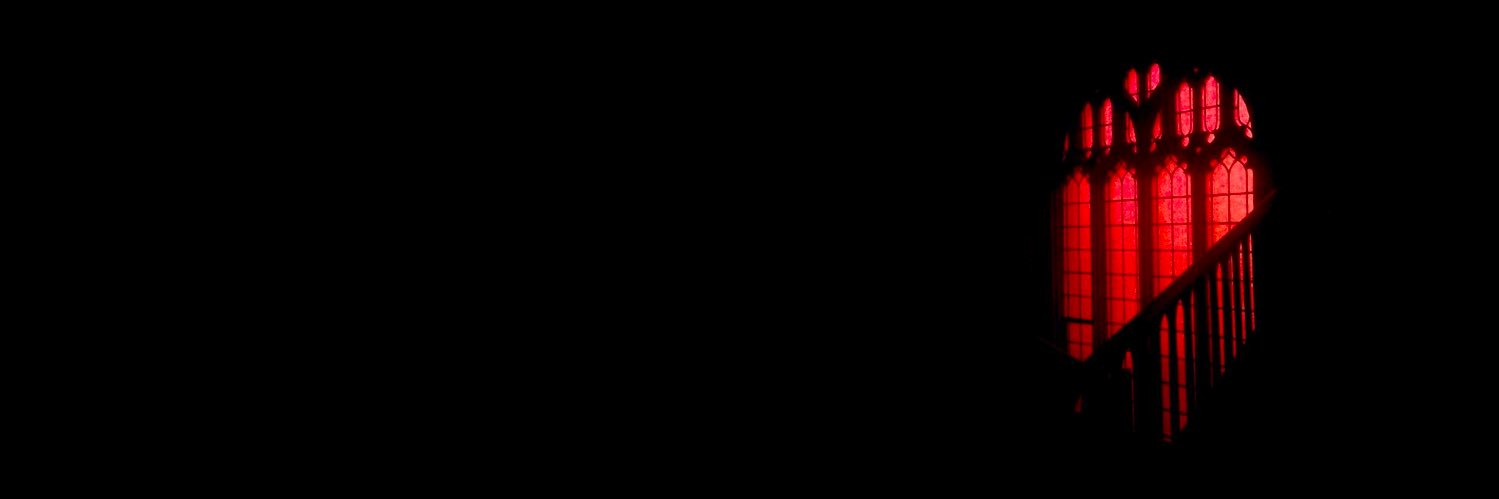 🩸 𝔴𝔶𝔯𝔪 ✧˖*°࿐'s banner