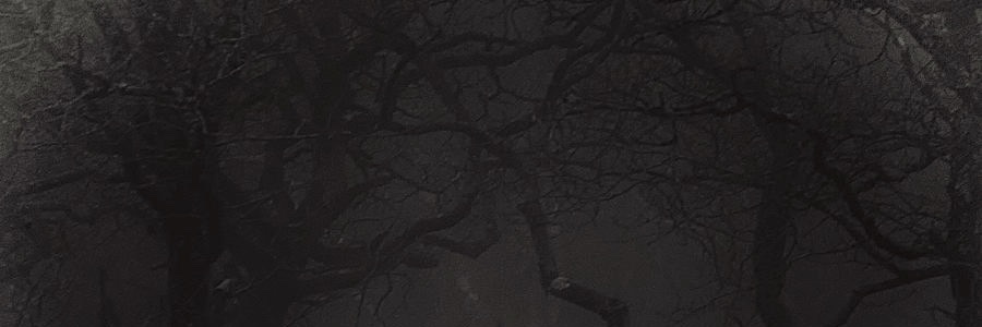 sktrst1's profile banner image