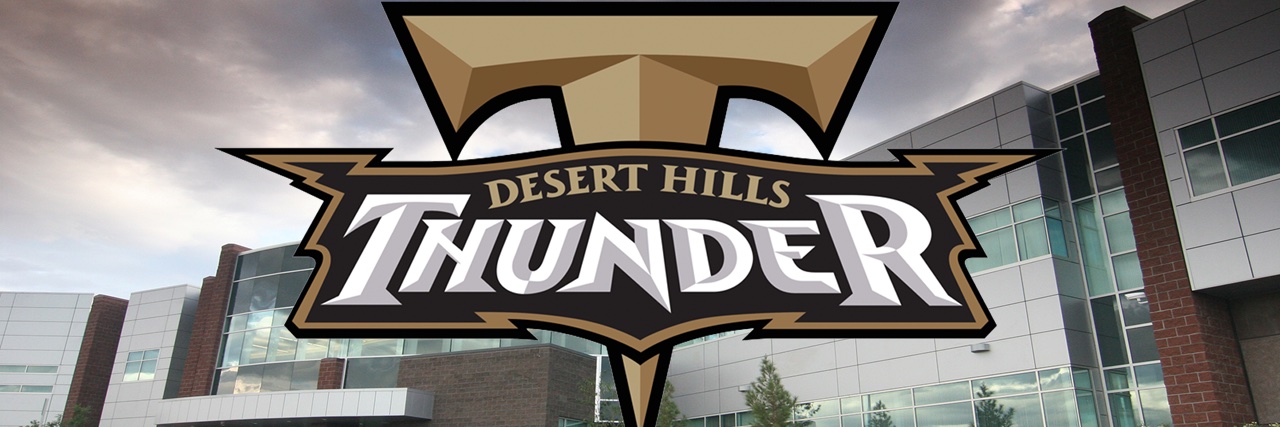 DH Thunder Basketball banner