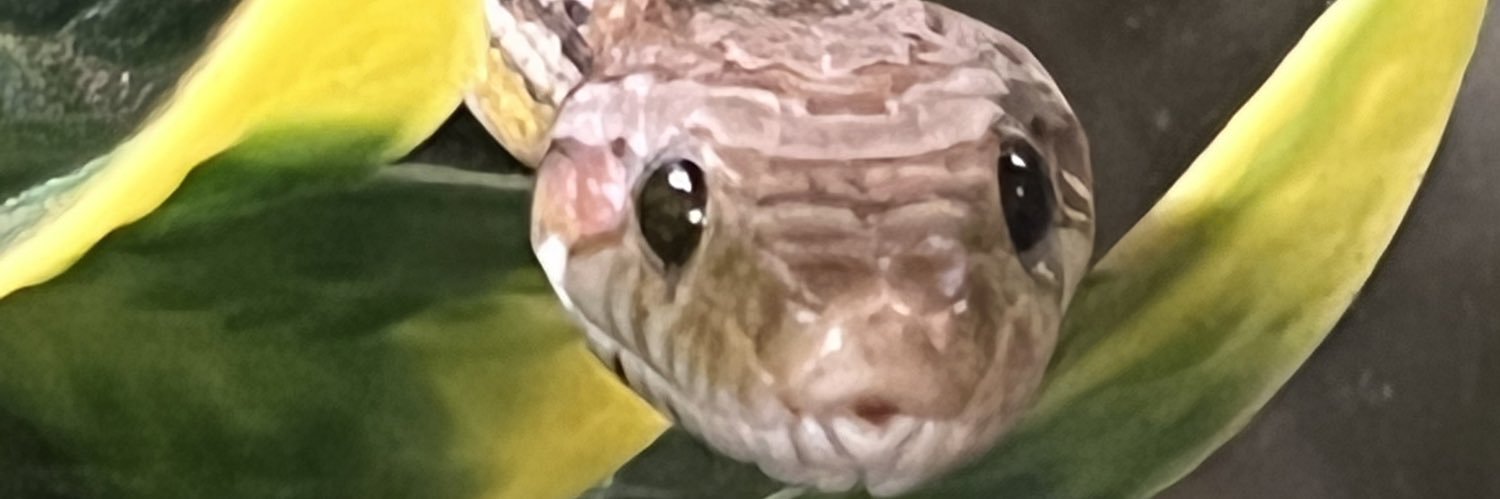 Joshua Wheaton banner