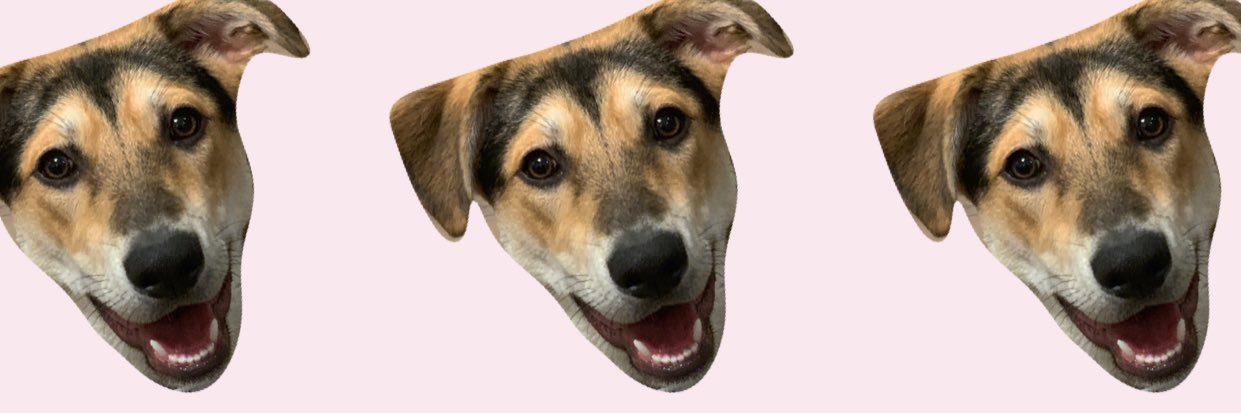 rinny_roo's profile banner image