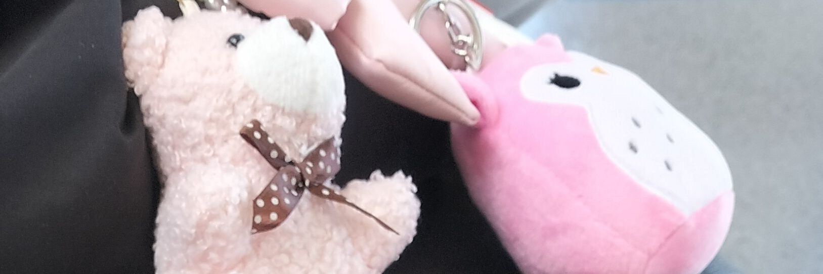 Moni // edtwt banner