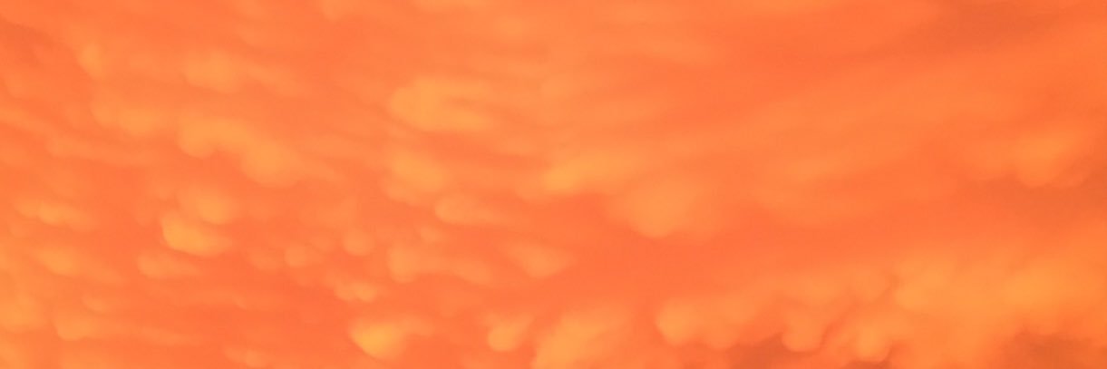 FriskyFriday's profile banner image