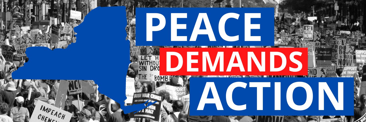 PeaceActionNY's profile banner image