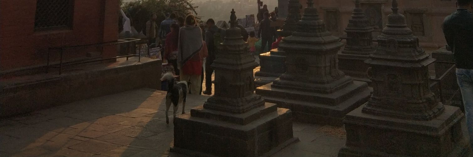 SubinLimbu's profile banner image