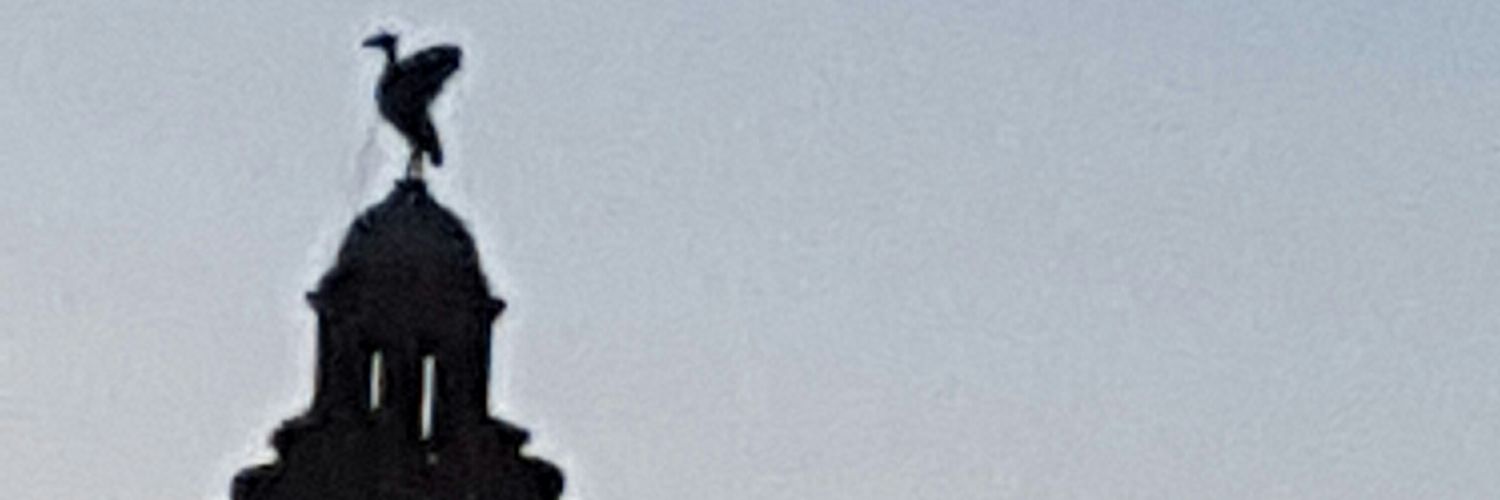 mandy glendinning banner