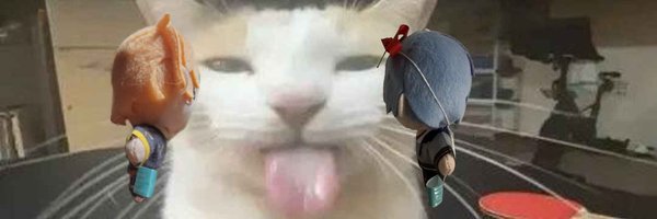 meiiowmi Profile Banner