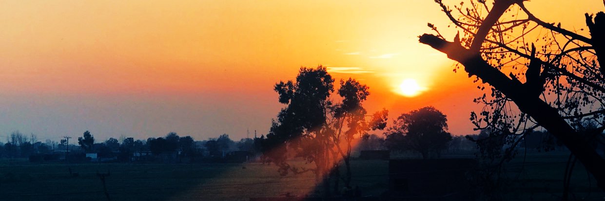 selenophileaws's profile banner image