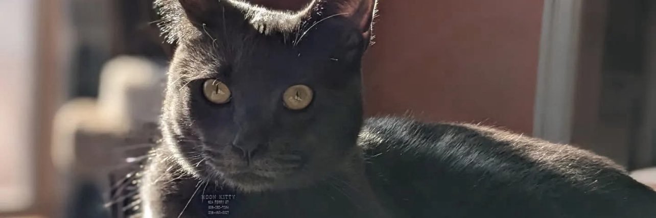 Franny5bs's profile banner image