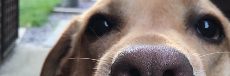 adders89's profile banner image