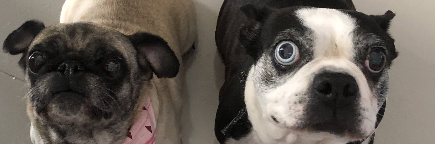 _cesar001's profile banner image